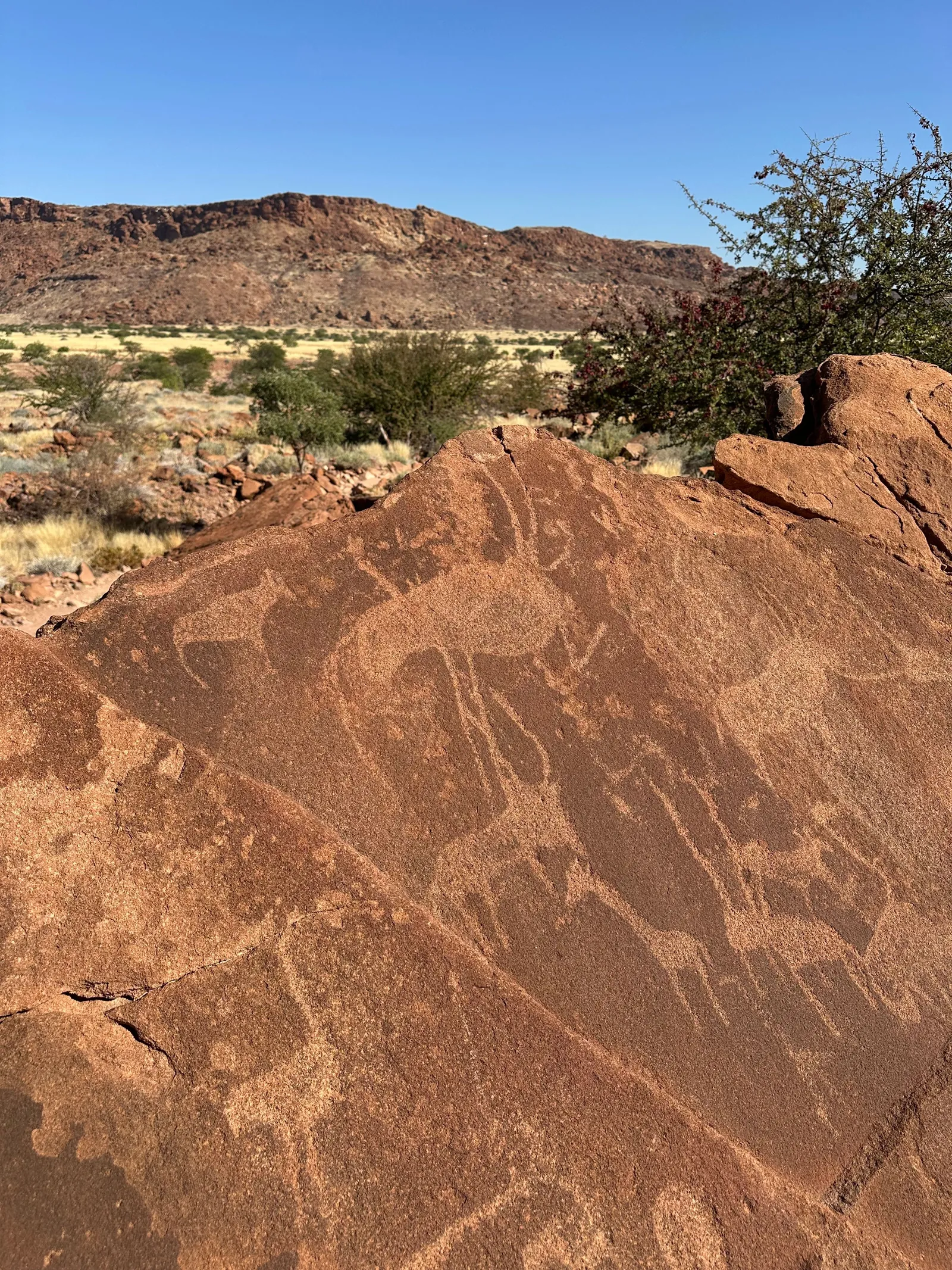 Rock engravings at Twyfelfontein, pecked into the red sandstone