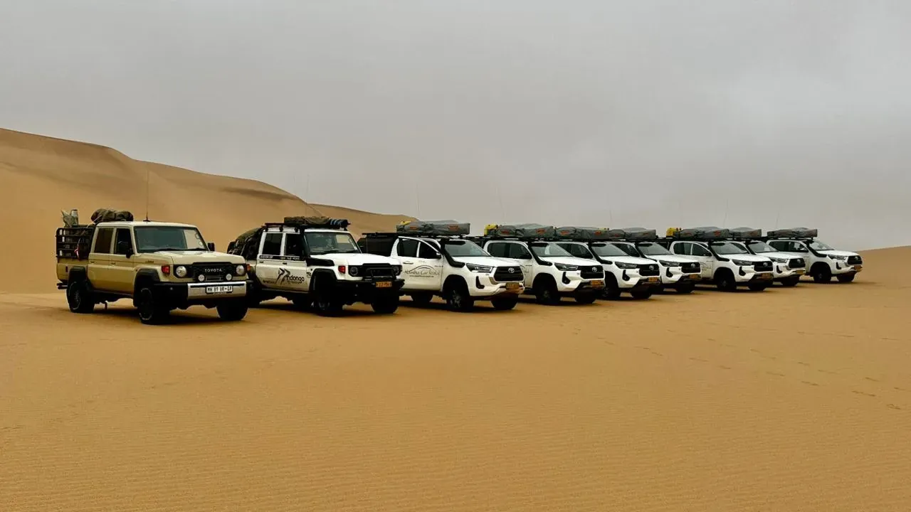 The full convoy lined up on the dunes for the crossing