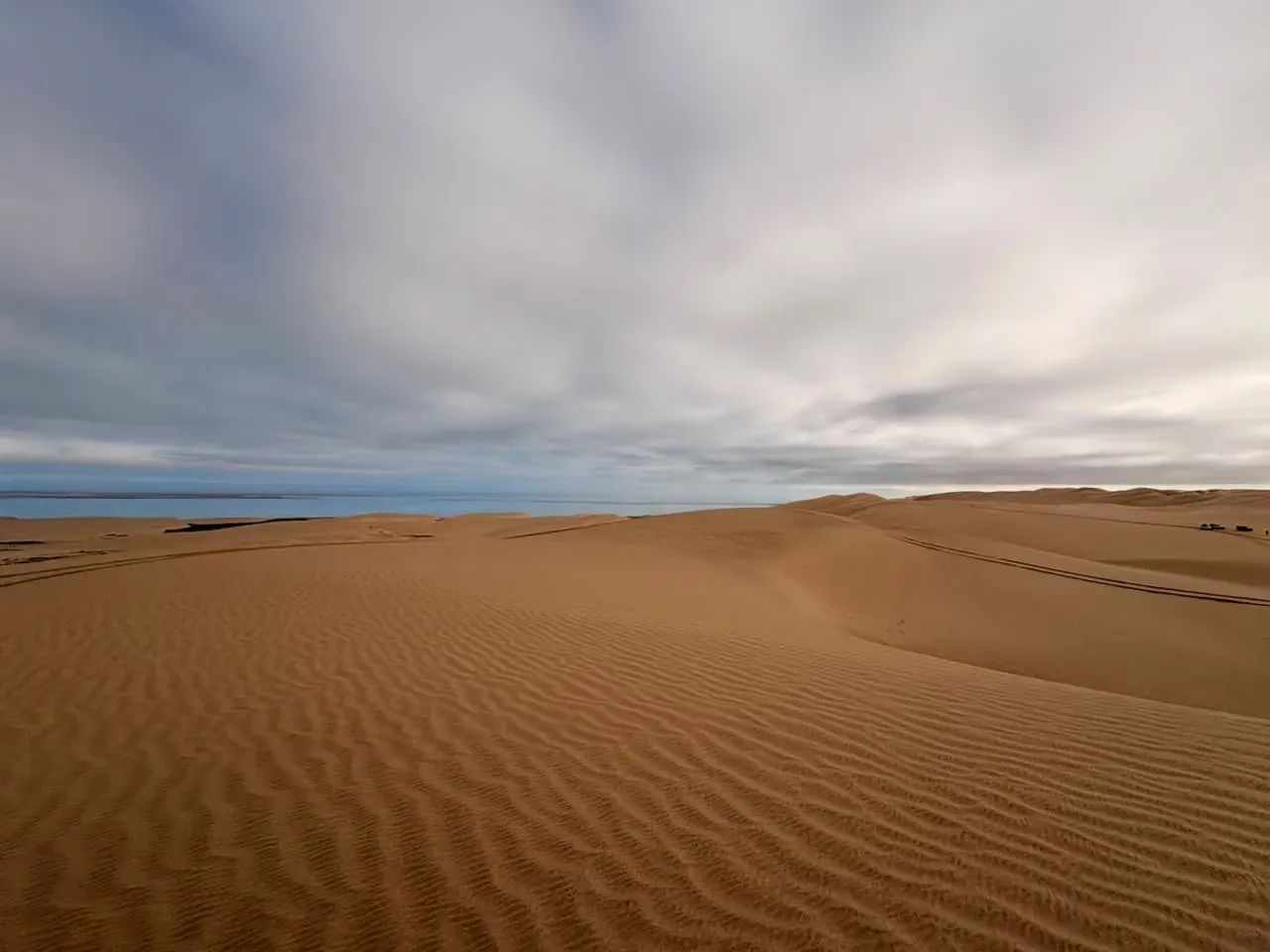 Rippled dune crests rolling down toward the Atlantic