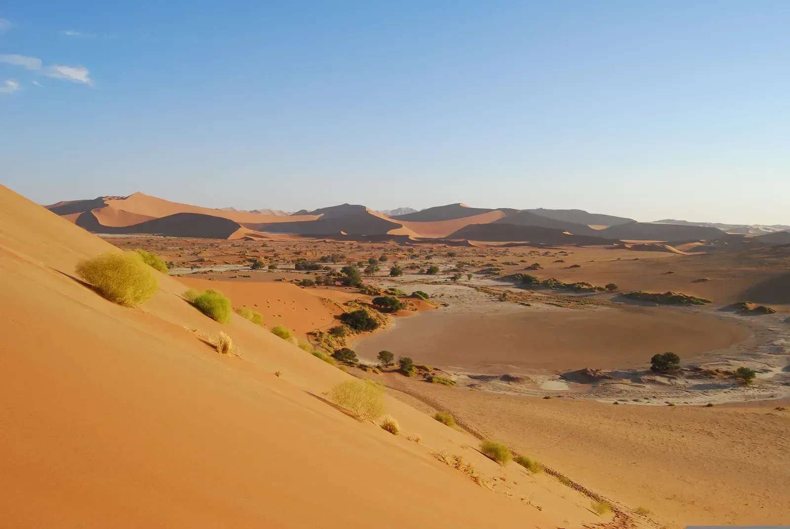 The dune sea and camelthorn valley from high on a dune face